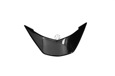 Carbon Heckverkleidung für KTM DUKE 690 2012-2018 Carbon+Fiberglas | Köper | Glossy