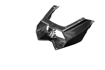 carenatura posteriore Carbonio per Kawasaki Ninja H2 SX/SE 2018- 100% Carbonio | Spigato | Brillante