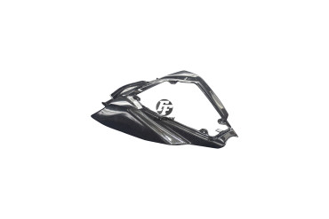 Carenado trasero Carbono por Kawasaki ZX-10R 2016- 