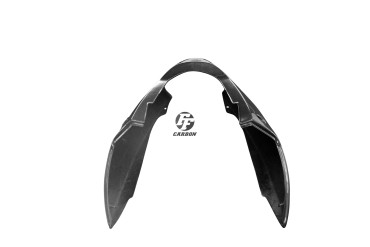Carbon Heckverkleidung für Kawasaki ZX 12 R 2002-2005 
