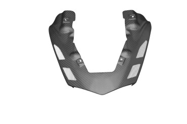 Carbon Heckverkleidung für Kawasaki ZX-6R 2007-2008 