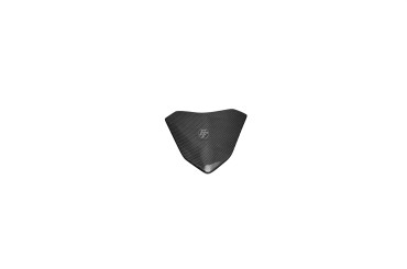 Carbon Rear Fairing for MV Agusta Rivale 800 