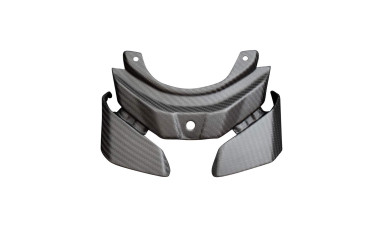 Carbon Heckverkleidung für Yamaha MT-10 2016-2021 