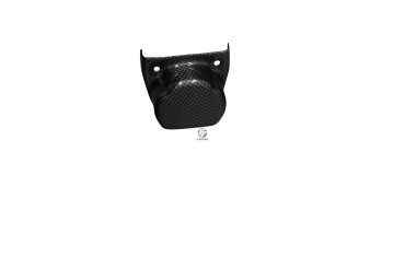 Carbon Hitzeschutz Rechts für Kawasaki Z1000 2010-2013 