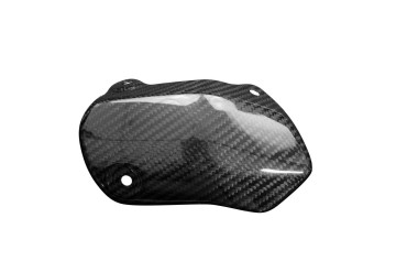 protezione termica Carbonio per Ducati Monster 1200 2017- Carbonio+Fibra di Vetro | Spigato | Brillante