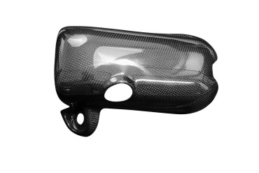 Carbon Hitzeschutz für Ducati Monster 937 SP Carbon+Fiberglas | Leinwand | Glossy