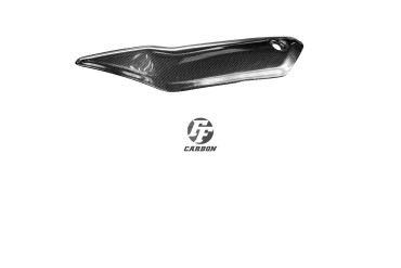protezione termica Carbonio per Honda CBR 1000 RR 2017-2019 