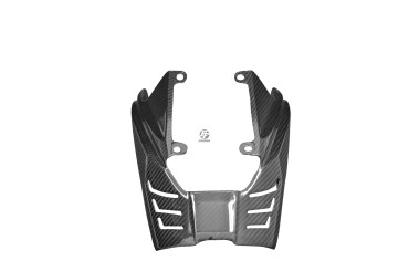 Carbon Hitzeschutz für Triumph Daytona 675 2006-2012 Carbon+Fiberglas | Köper | Glossy