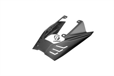 Carbon Hitzeschutz für Triumph Daytona 675 2006-2012 Carbon+Fiberglas | Köper | Matt
