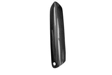 Pare-chaleur Carbone pour Triumph Trident 660 