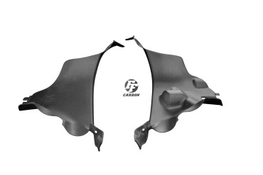 Carbon Inner Fairing for Ducati Panigale V4 / V4S 
