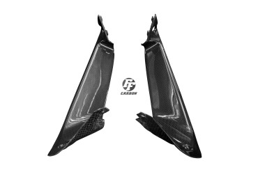 Carenado interior Carbono por Ducati Supersport 2017-2020 Carbono+Fibra de Vidrio | Patron Sencillo | Brillante