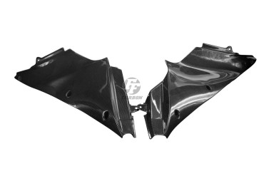 Carbon Innenverkleidung für Kawasaki ZZR 1400 / ZX-14R 2011-2015 