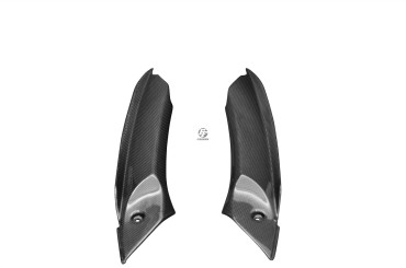 Carenado interior Carbono por Triumph Daytona 675 2006-2008 