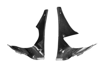 rivestimento interno Carbonio per Yamaha YZF-R6 2008-2016 Carbonio+Fibra di Vetro | Spigato | Brillante