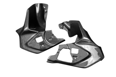 Carenado lateral interior Carbono por BMW R 1250 GS 2017-2019 Carbono+Fibra de Vidrio | Patron Sencillo | Brillante