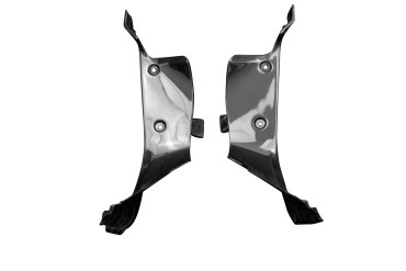 Pannello laterale interno Carbonio per Ducati Panigale V2 2020- Carbonio+Fibra di Vetro | Tela | Brillante
