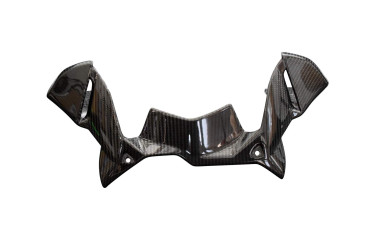 Carbon Instrument Cover for BMW R 1250 GS / R 1250 GS Adventure Carbon+Fibreglass | Plain Weave | Glossy