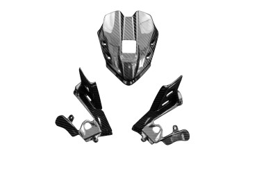 Carbon Instrumenten Abdeckung für Ducati Panigale V4/V4S 2019-2021 / V4R 2019-2020 / V4 SP 2021- 100% Carbon | Köper | Glossy