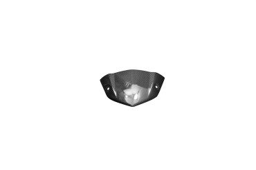 Carénage du compteur Carbone pour Kawasaki Z1000 2014-2018 