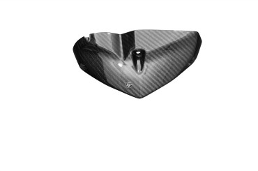 Carénage du compteur Carbone pour Yamaha FZ1-N 
