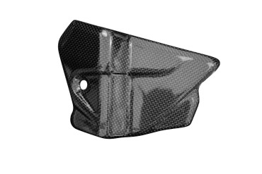 Carbon Cable Cover for BMW S 1000 RR 2019- 