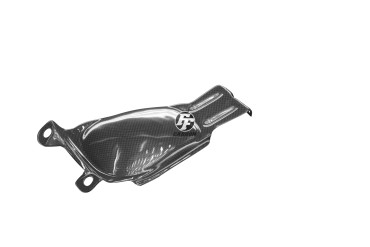 porta targa Carbonio per Buell XB Carbonio+Fibra di Vetro | Tela | Brillante