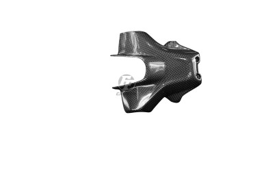 Carbon Kennzeichenhalter für Ducati Hypermotard 950 2019-2021 
