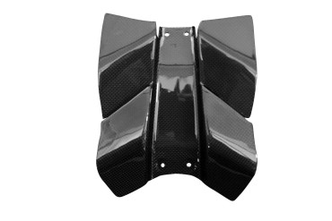Carbon Kennzeichenhalter für KTM 390 Duke 2024- 