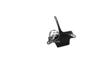 Sostenedor de numero de registro Carbono por Suzuki GSX-R 600/750 2006-2007 