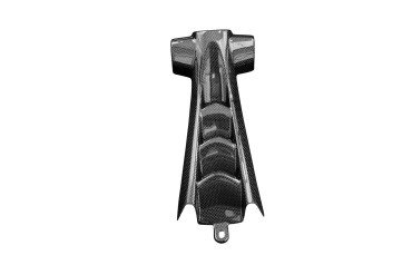 Carbon Kennzeichenhalter für Triumph Speed triple 1050 2011-2012 