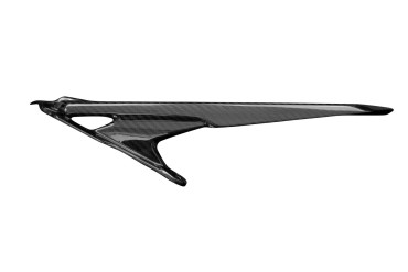 Carbon Chain Guard (Upper Unit) for Ducati Multistrada V4 2021- 