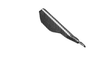 paracatena Carbonio per Ducati Monster 796 / 1100 
