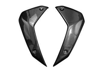 Carbon Kühlerverkleidung für BMW R 1300 GS 2024- 