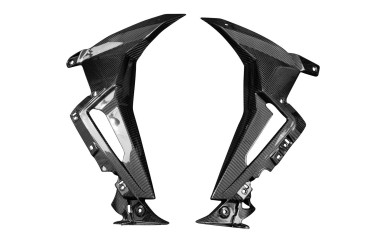 Carbon Radiator Cover for BMW S 1000 R 2021- 