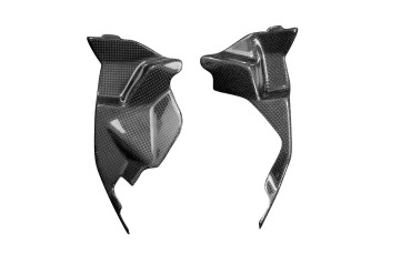 Carbon Radiator Cover for BMW S 1000 R 2021- 