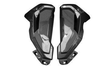 Cofano radiatore Carbonio per BMW S 1000 XR 2020- 
