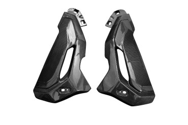 Carbon Kühlerverkleidung für BMW S 1000 XR 2020- Carbon+Fiberglas | Köper | Glossy