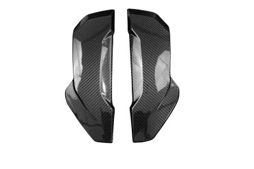 Carbon Radiator Cover for BMW S1000XR 2020- 