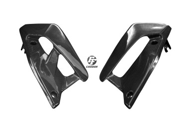 Carbon Kühlerverkleidung für Ducati Monster 797 