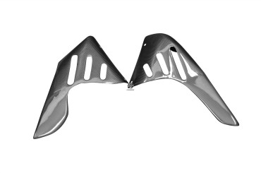 Carbon Radiator Cover for Ducati Monster S4R 