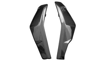 Cofano radiatore Carbonio per Ducati Streetfighter V2 2021- 100% Carbonio | Spigato | Brillante