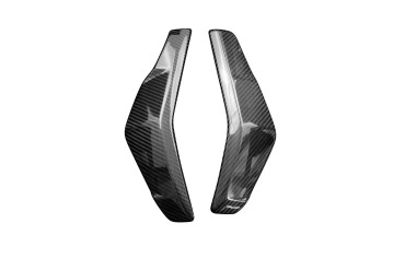Cofano radiatore Carbonio per Ducati Streetfighter V2 2021- Carbonio+Fibra di Vetro | Spigato | Opaco