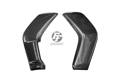 Cofano radiatore Carbonio per Ducati XDiavel Carbonio+Fibra di Vetro | Tela | Brillante