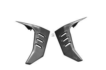 Cache radiateur Carbone pour Kawasaki Z1000 2004-2006 