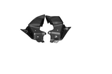 Cache radiateur Carbone pour Kawasaki Z800 