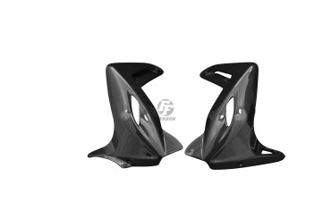 Carbon Kühlerverkleidung für MV Agusta Brutale 920 / 990 / 1090 Carbon+Fiberglas | Leinwand | Glossy