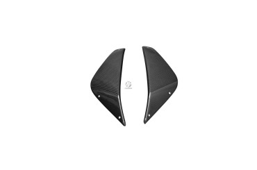 Cofano radiatore Carbonio per MV Agusta Rivale 800 Carbonio+Fibra di Vetro | Tela | Brillante