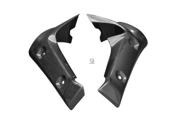 Carbon Kühlerverkleidung für Yamaha FZ1-N / FZ-8 Carbon+Fiberglas | Leinwand | Glossy