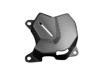 Cache du réservoir de compensation du liquide de refroidissement Carbone pour Triumph Trident 660 